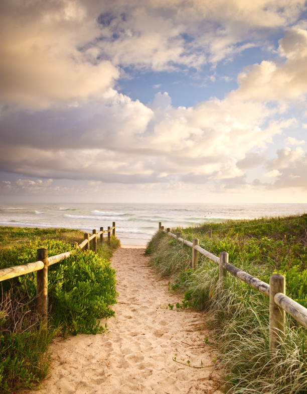 Path leading to a beautiful beach