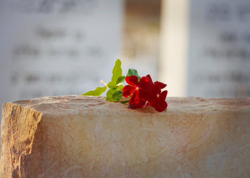 Single flower on tombstone.