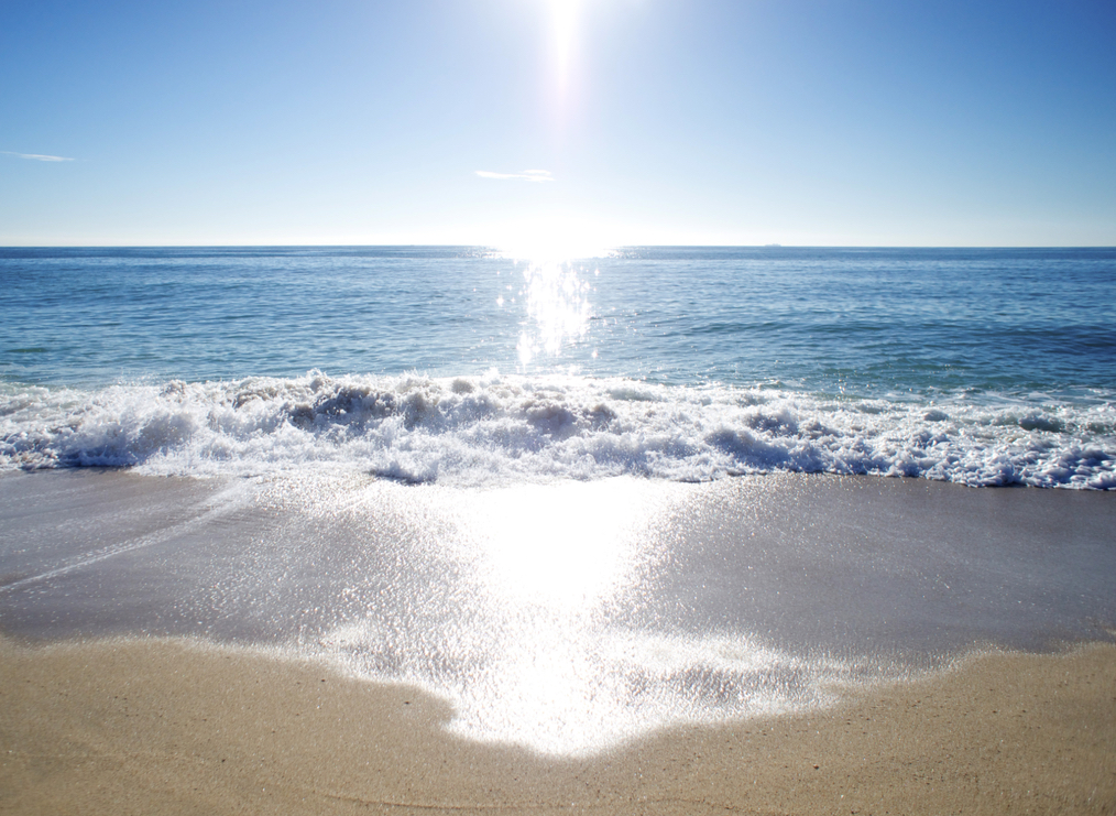 Beautiful new day sunrise on the beach.