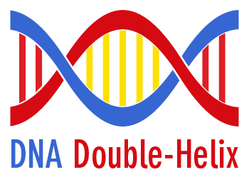 DNA Double Helix