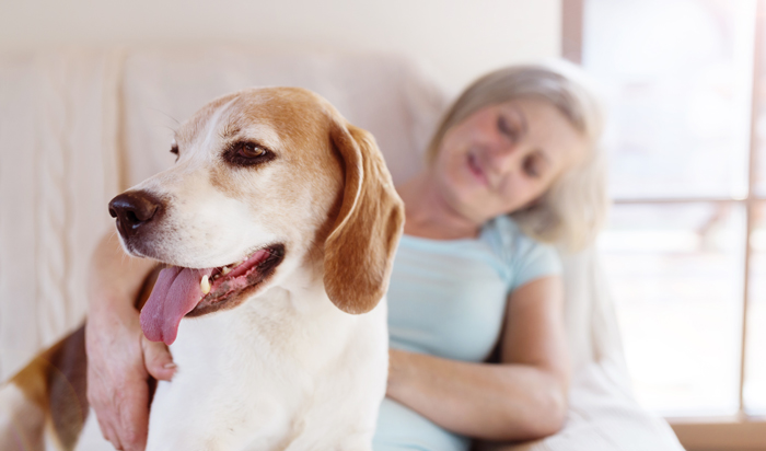 photo of young girl petting her dog