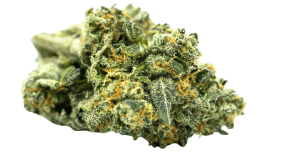 Understanding Weed Panic Attacks: Causes & Symptoms 1 Cluster of weed on white background
